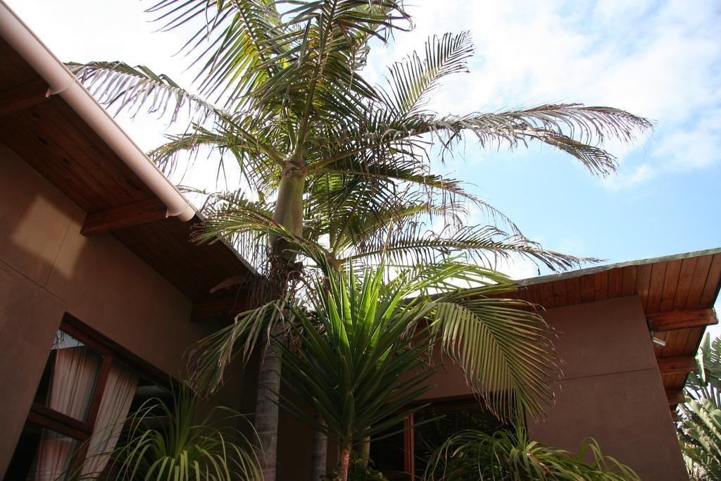 Dunedin Star Guesthouse Swakopmund Buitenkant foto