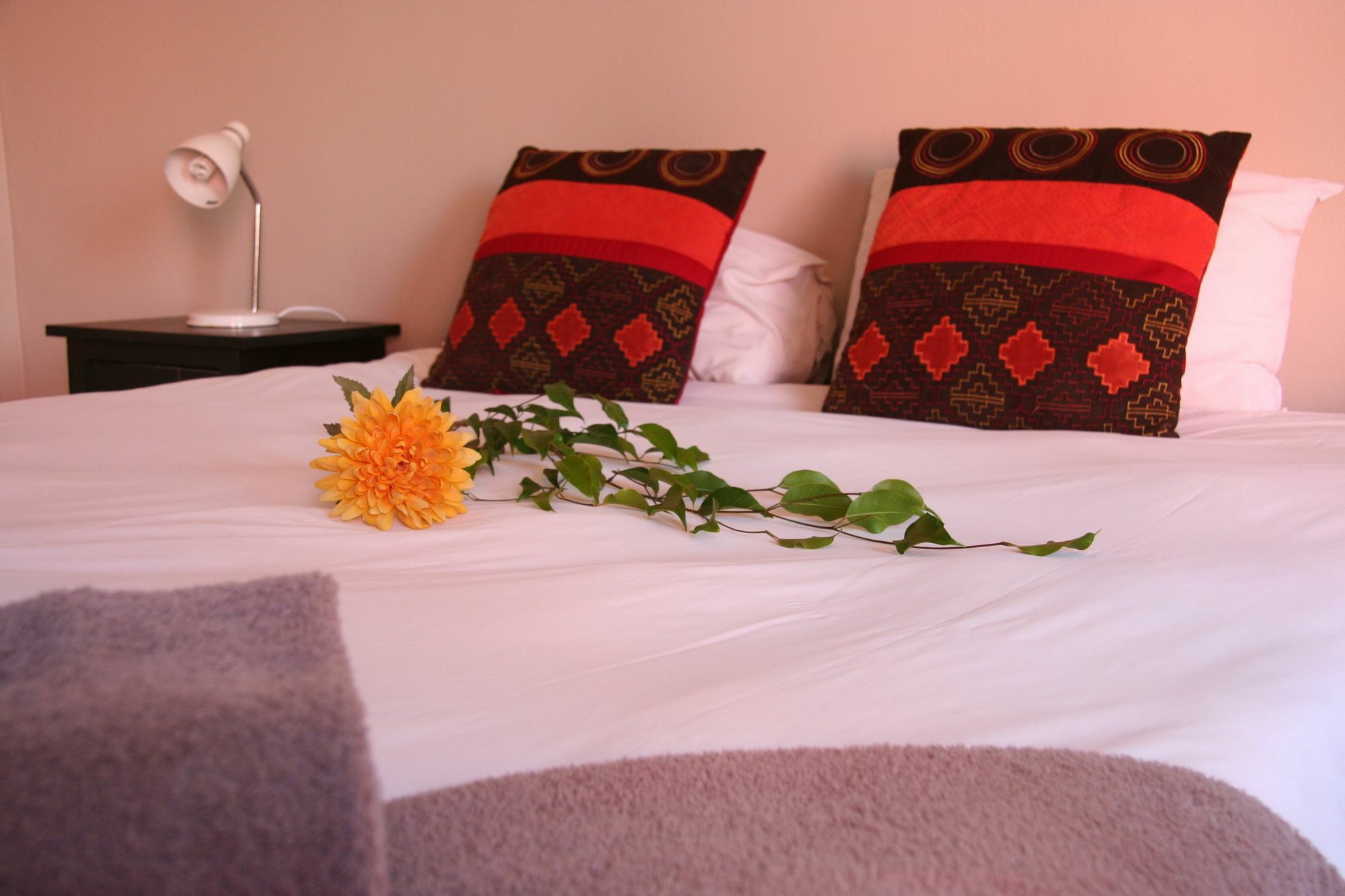 Dunedin Star Guesthouse Swakopmund Buitenkant foto